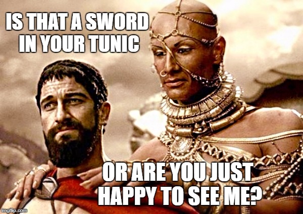 IS THAT A SWORD IN YOUR TUNIC; OR ARE YOU JUST HAPPY TO SEE ME? | image tagged in 300 | made w/ Imgflip meme maker