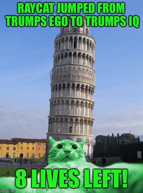 RayCat does Italy | RAYCAT JUMPED FROM TRUMPS EGO TO TRUMPS IQ 8 LIVES LEFT! | image tagged in raycat does italy | made w/ Imgflip meme maker