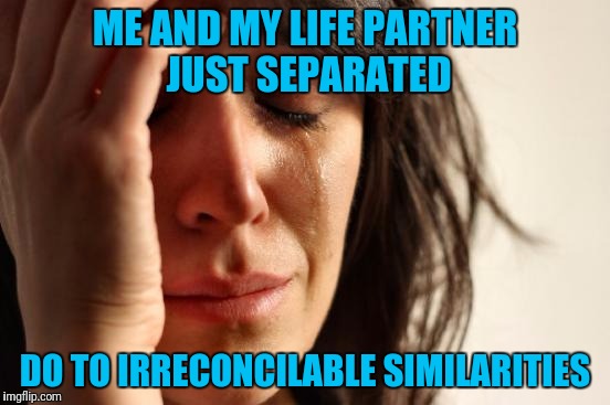 First World Problems Meme | ME AND MY LIFE PARTNER JUST SEPARATED; DO TO IRRECONCILABLE SIMILARITIES | image tagged in memes,first world problems | made w/ Imgflip meme maker