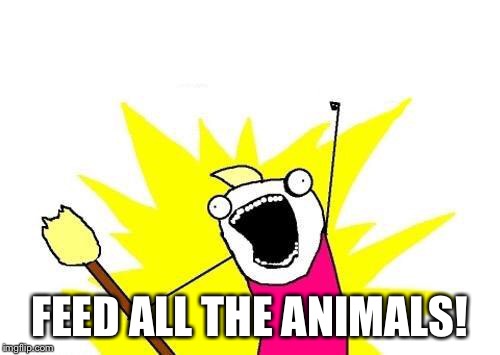 X All The Y Meme | FEED ALL THE ANIMALS! | image tagged in memes,x all the y | made w/ Imgflip meme maker