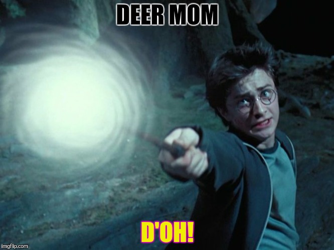 DEER MOM D'OH! | made w/ Imgflip meme maker