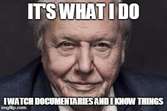 IT'S WHAT I DO; I WATCH DOCUMENTARIES AND I KNOW THINGS | made w/ Imgflip meme maker