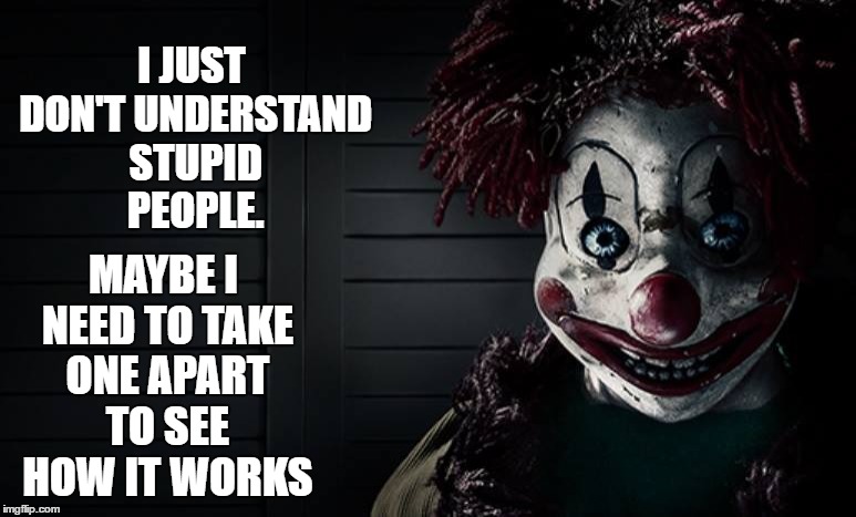 Some people just seem to take it to the next level | I JUST DON'T UNDERSTAND STUPID PEOPLE. MAYBE I NEED TO TAKE ONE APART TO SEE HOW IT WORKS | image tagged in stupid people | made w/ Imgflip meme maker