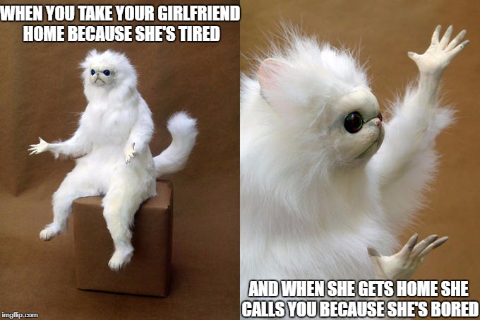 Persian Cat Room Guardian Meme | WHEN YOU TAKE YOUR GIRLFRIEND HOME BECAUSE SHE'S TIRED; AND WHEN SHE GETS HOME SHE CALLS YOU BECAUSE SHE'S BORED | image tagged in memes,persian cat room guardian | made w/ Imgflip meme maker