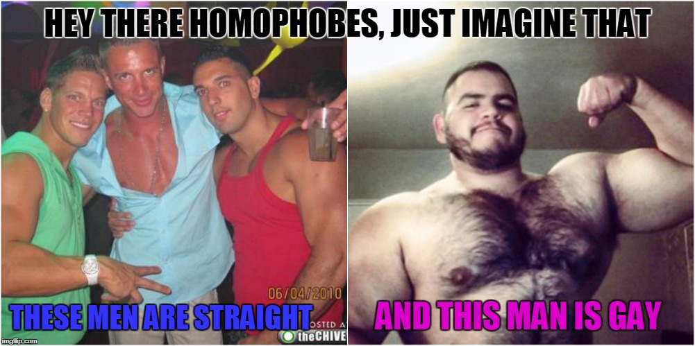 GAY VS STRAIGHT | HEY THERE HOMOPHOBES, JUST IMAGINE THAT; THESE MEN ARE STRAIGHT; AND THIS MAN IS GAY | image tagged in gay,gay bear,gay vs straight,douchebag,homophobe | made w/ Imgflip meme maker