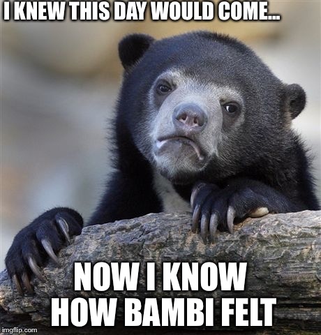 Confession Bear | I KNEW THIS DAY WOULD COME... NOW I KNOW HOW BAMBI FELT | image tagged in memes,confession bear | made w/ Imgflip meme maker