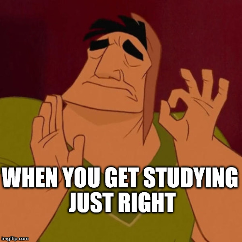 Pacha perfect | WHEN YOU GET STUDYING JUST RIGHT | image tagged in pacha perfect | made w/ Imgflip meme maker