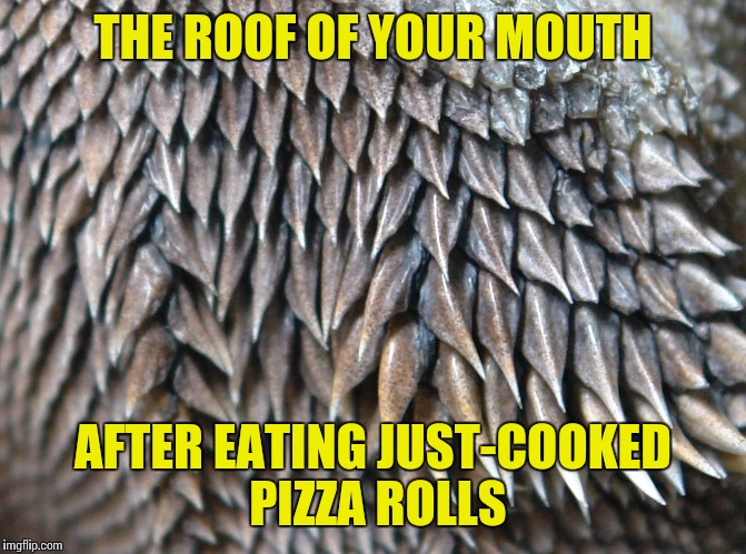 THE ROOF OF YOUR MOUTH AFTER EATING JUST-COOKED PIZZA ROLLS | made w/ Imgflip meme maker