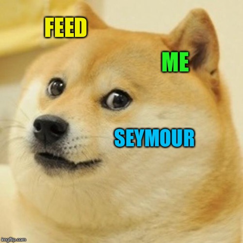 Doge Meme | FEED ME SEYMOUR | image tagged in memes,doge | made w/ Imgflip meme maker