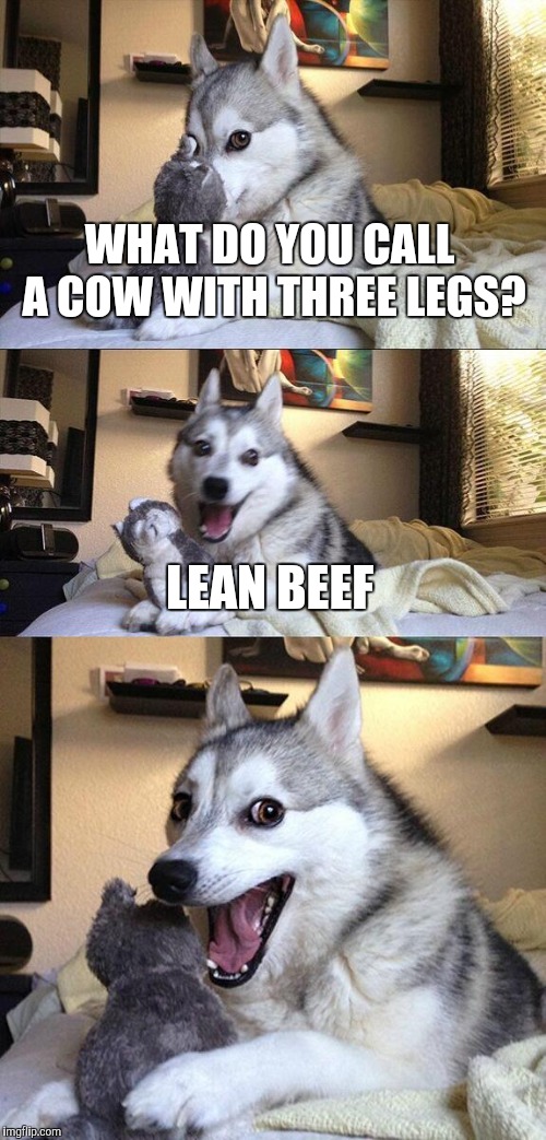 Bad Pun Dog | WHAT DO YOU CALL A COW WITH THREE LEGS? LEAN BEEF | image tagged in memes,bad pun dog | made w/ Imgflip meme maker