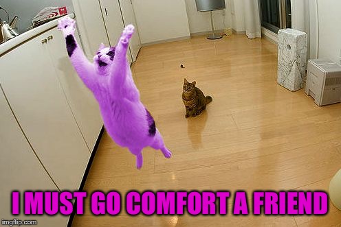 RayCat save the world | I MUST GO COMFORT A FRIEND | image tagged in raycat save the world | made w/ Imgflip meme maker
