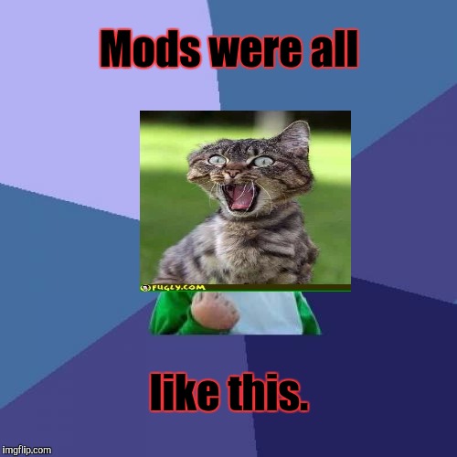 Success Kid Meme | Mods were all like this. | image tagged in memes,success kid | made w/ Imgflip meme maker