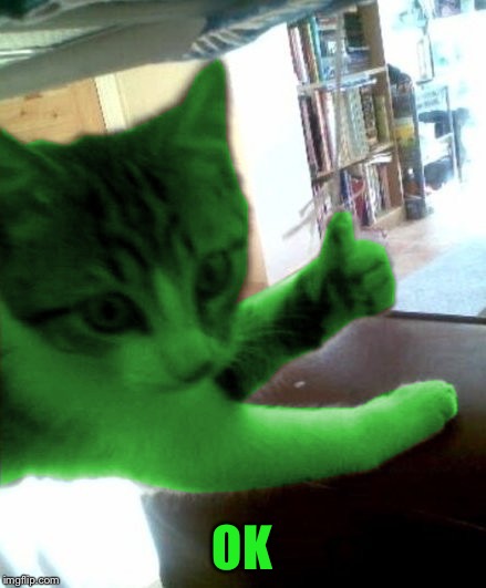 thumbs up RayCat | OK | image tagged in thumbs up raycat | made w/ Imgflip meme maker