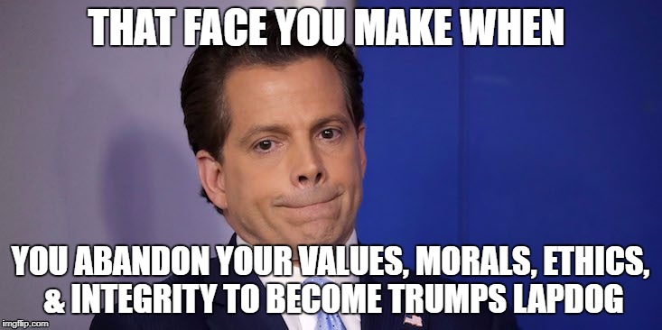 Mooch the Pooch | THAT FACE YOU MAKE WHEN; YOU ABANDON YOUR VALUES, MORALS, ETHICS, & INTEGRITY TO BECOME TRUMPS LAPDOG | image tagged in mooch saw trump | made w/ Imgflip meme maker