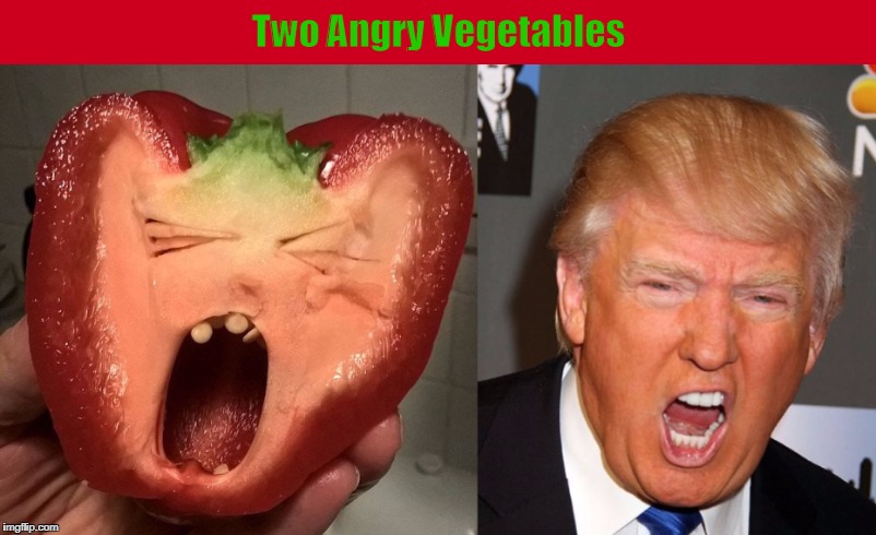 Two Angry Vegetables | image tagged in donald trump,trump,funny,memes,angry,vegetable | made w/ Imgflip meme maker
