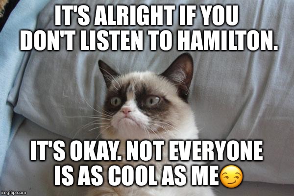 Grumpy Cat Bed Meme | IT'S ALRIGHT IF YOU DON'T LISTEN TO HAMILTON. IT'S OKAY. NOT EVERYONE IS AS COOL AS ME😏 | image tagged in memes,grumpy cat bed,grumpy cat | made w/ Imgflip meme maker