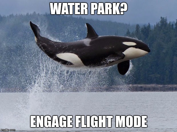 WATER PARK? ENGAGE FLIGHT MODE | made w/ Imgflip meme maker