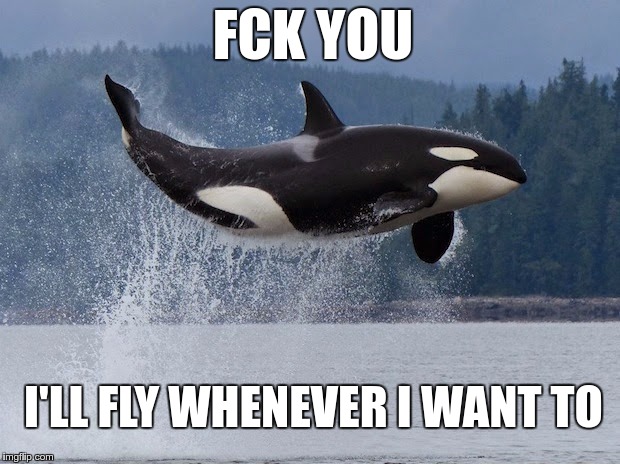 Fckn Evolution | FCK YOU; I'LL FLY WHENEVER I WANT TO | image tagged in memes,funny,orca,fly,just do it | made w/ Imgflip meme maker