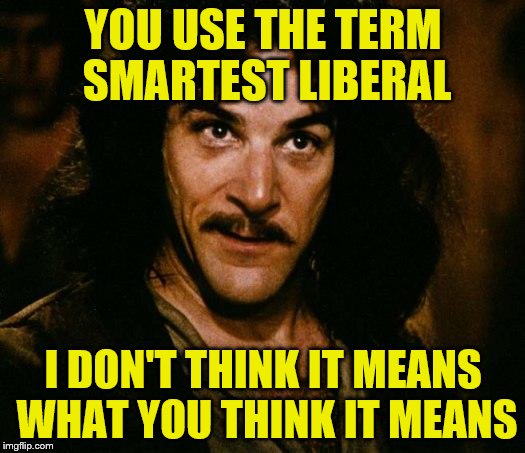 YOU USE THE TERM SMARTEST LIBERAL I DON'T THINK IT MEANS WHAT YOU THINK IT MEANS | made w/ Imgflip meme maker