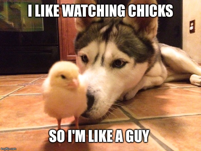 I LIKE WATCHING CHICKS SO I'M LIKE A GUY | made w/ Imgflip meme maker
