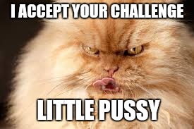 I ACCEPT YOUR CHALLENGE LITTLE PUSSY | made w/ Imgflip meme maker