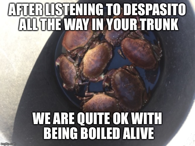  Crabs | AFTER LISTENING TO DESPASITO ALL THE WAY IN YOUR TRUNK; WE ARE QUITE OK WITH BEING BOILED ALIVE | image tagged in memes,funny,decpasito | made w/ Imgflip meme maker