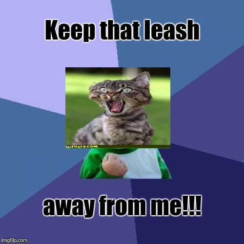 Success Kid Meme | Keep that leash away from me!!! | image tagged in memes,success kid | made w/ Imgflip meme maker