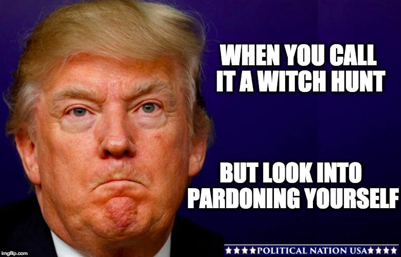  WHEN YOU CALL IT A WITCH HUNT; BUT LOOK INTO PARDONING YOURSELF | image tagged in nevertrump,never trump,nevertrump meme,dump trump,dump the trump,dumptrump | made w/ Imgflip meme maker