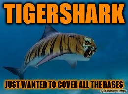 For Raydog and TigerLegend1046 Shark Week - Tiger Week | TIGERSHARK; JUST WANTED TO COVER ALL THE BASES | image tagged in memes,tiger week,shark week,funny animals | made w/ Imgflip meme maker