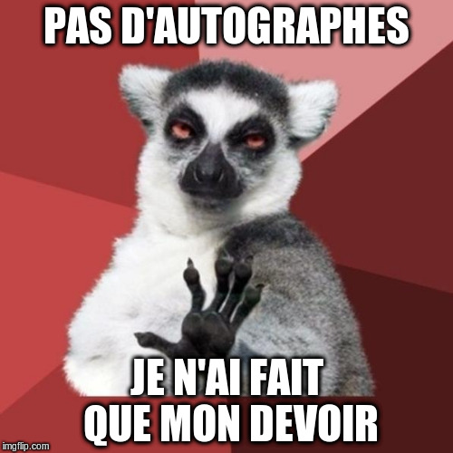 Chill Out Lemur Meme Imgflip - 