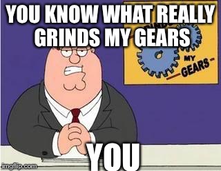 You know what grinds my gears | YOU KNOW WHAT REALLY GRINDS MY GEARS; YOU | image tagged in you know what grinds my gears | made w/ Imgflip meme maker