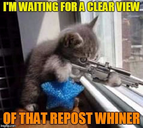 Stolen Memes Week.  When will repost whiners get it?  Memes are passed around, that's what memes are all about. | WOULD YOU LIKE SOME CHEESE; TO GO WITH THAT WHINE | image tagged in stolen memes week,sniper cat,repost,clinkster | made w/ Imgflip meme maker