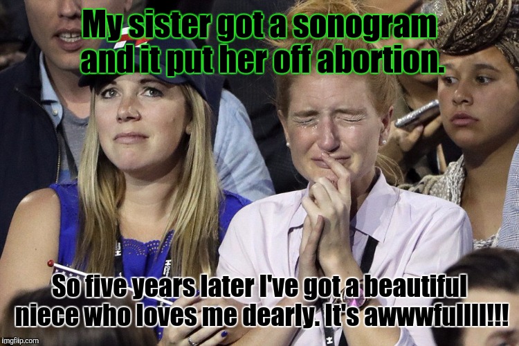 Oh the humanity! :D | My sister got a sonogram and it put her off abortion. So five years later I've got a beautiful niece who loves me dearly. It's awwwfullll!!! | image tagged in funny,liberals,politics,abortion,prolife,memes | made w/ Imgflip meme maker