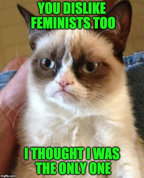 Grumpy Cat Meme | YOU DISLIKE FEMINISTS TOO I THOUGHT I WAS THE ONLY ONE | image tagged in memes,grumpy cat | made w/ Imgflip meme maker