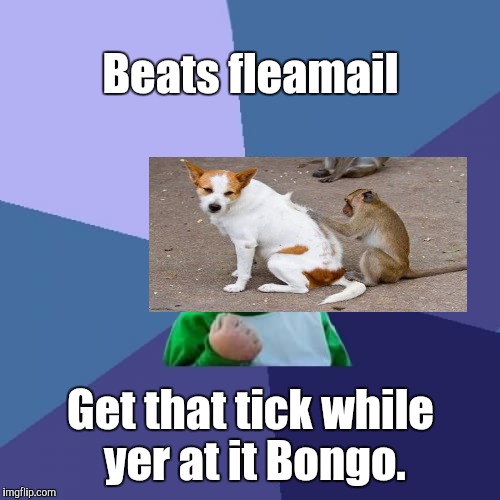 Success Kid Meme | Beats fleamail Get that tick while yer at it Bongo. | image tagged in memes,success kid | made w/ Imgflip meme maker