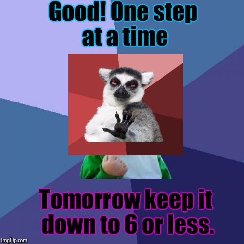 Success Kid Meme | Good! One step at a time Tomorrow keep it down to 6 or less. | image tagged in memes,success kid | made w/ Imgflip meme maker