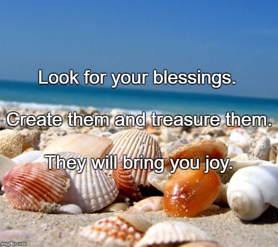 Sea shells | Look for your blessings. Create them and treasure them. They will bring you joy. | image tagged in sea shells | made w/ Imgflip meme maker