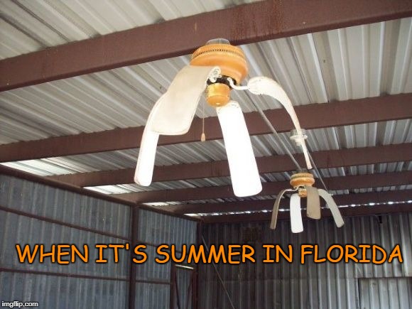 Droopy Fan | WHEN IT'S SUMMER IN FLORIDA | image tagged in droopy fan | made w/ Imgflip meme maker