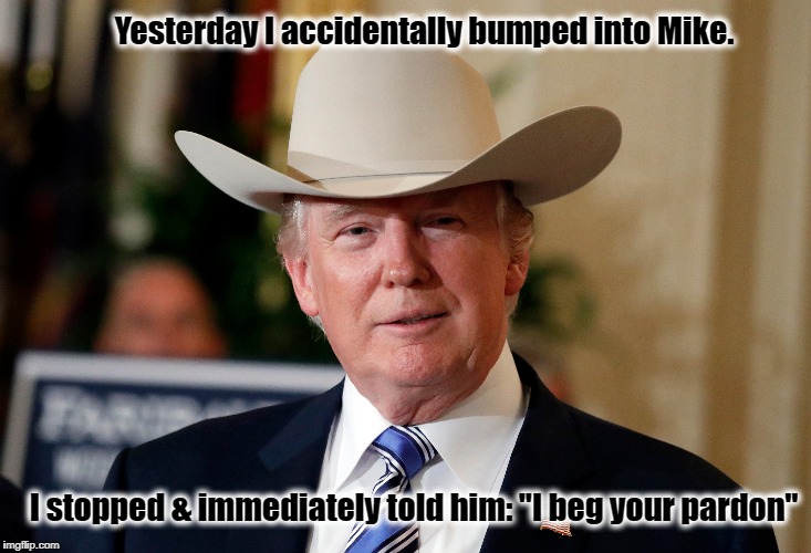 I beg your pardon | Yesterday I accidentally bumped into Mike. I stopped & immediately told him: "I beg your pardon" | image tagged in mike pence,donald trump,resist,pardon me | made w/ Imgflip meme maker