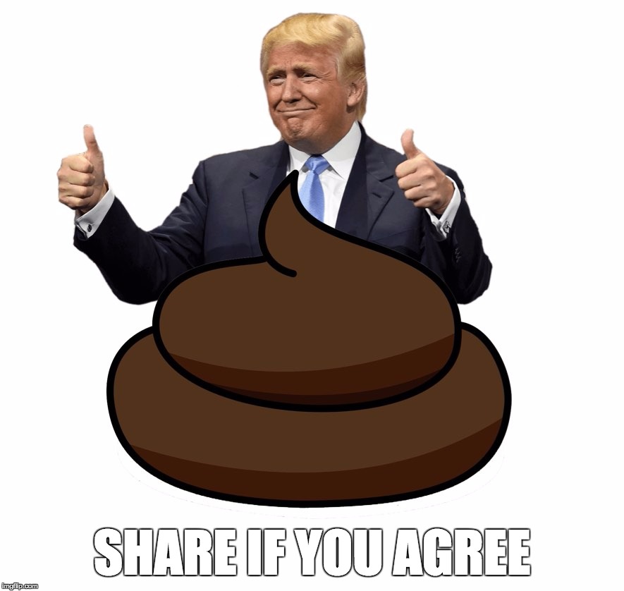 SHARE IF YOU AGREE | image tagged in donald trump | made w/ Imgflip meme maker