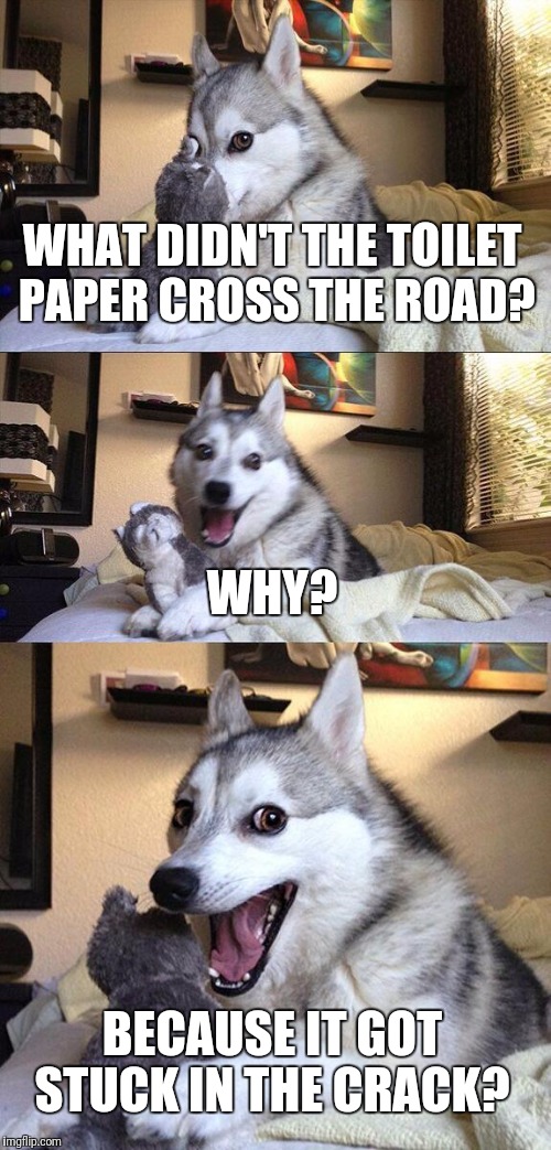 Bad Pun Dog Meme | WHAT DIDN'T THE TOILET PAPER CROSS THE ROAD? WHY? BECAUSE IT GOT STUCK IN THE CRACK? | image tagged in memes,bad pun dog | made w/ Imgflip meme maker