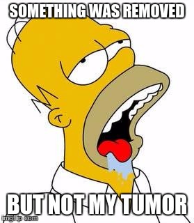 my brother made this meme | SOMETHING WAS REMOVED; BUT NOT MY TUMOR | image tagged in hungry homer | made w/ Imgflip meme maker