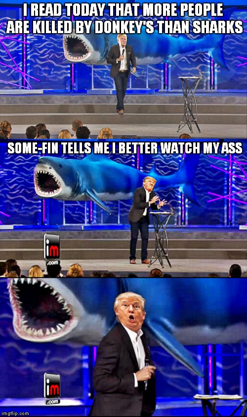 A jawsome new template for shark week! A Raydog event 23rd though the 30th! | I READ TODAY THAT MORE PEOPLE ARE KILLED BY DONKEY'S THAN SHARKS; SOME-FIN TELLS ME I BETTER WATCH MY ASS | image tagged in trump and shark bad pun,shark week | made w/ Imgflip meme maker