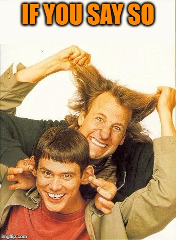 DUMB and dumber | IF YOU SAY SO | image tagged in dumb and dumber | made w/ Imgflip meme maker