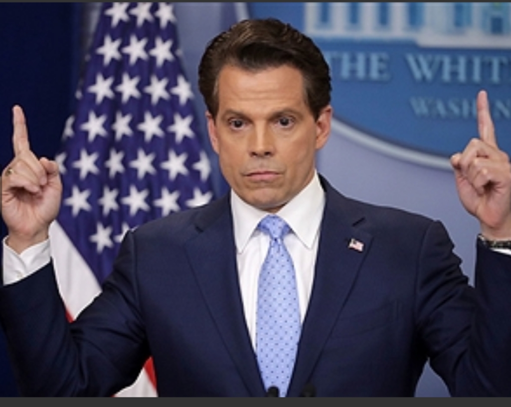 Scaramucci dance Blank Meme Template