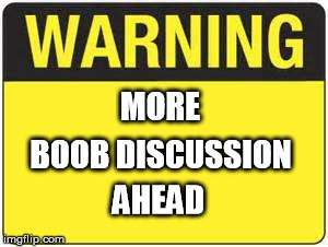 blank warning sign | MORE; BOOB DISCUSSION; AHEAD | image tagged in blank warning sign | made w/ Imgflip meme maker