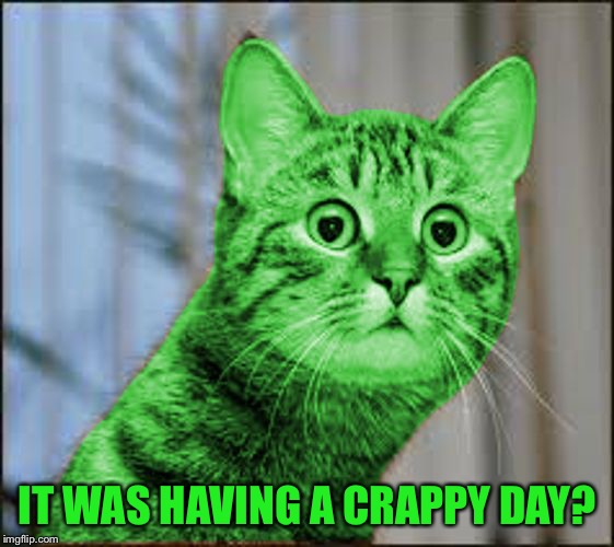 RayCat WTF | IT WAS HAVING A CRAPPY DAY? | image tagged in raycat wtf | made w/ Imgflip meme maker