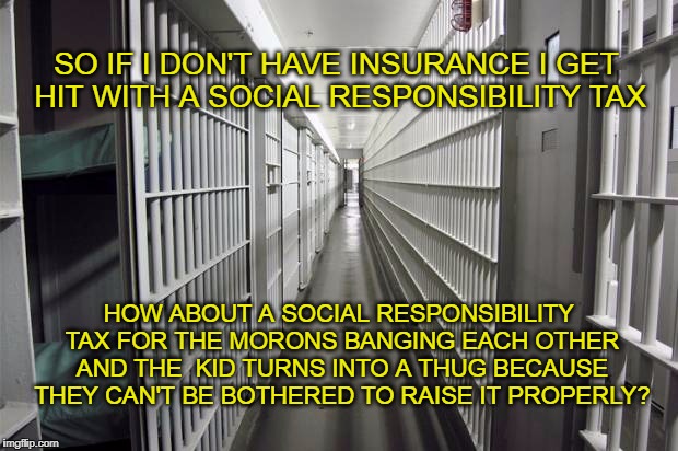 Real Social Responsibility | SO IF I DON'T HAVE INSURANCE I GET HIT WITH A SOCIAL RESPONSIBILITY TAX; HOW ABOUT A SOCIAL RESPONSIBILITY TAX FOR THE MORONS BANGING EACH OTHER AND THE  KID TURNS INTO A THUG BECAUSE THEY CAN'T BE BOTHERED TO RAISE IT PROPERLY? | image tagged in price to society,costly thugs | made w/ Imgflip meme maker