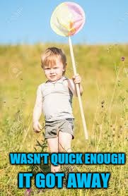 WASN'T QUICK ENOUGH IT GOT AWAY | made w/ Imgflip meme maker
