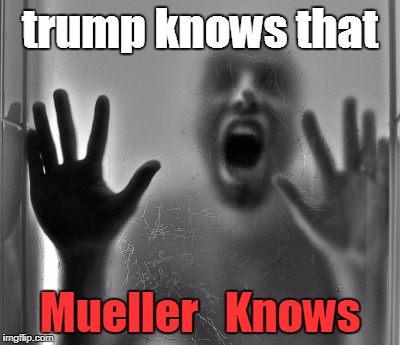 trump knows that; Mueller   Knows | image tagged in robert mueller,trump | made w/ Imgflip meme maker